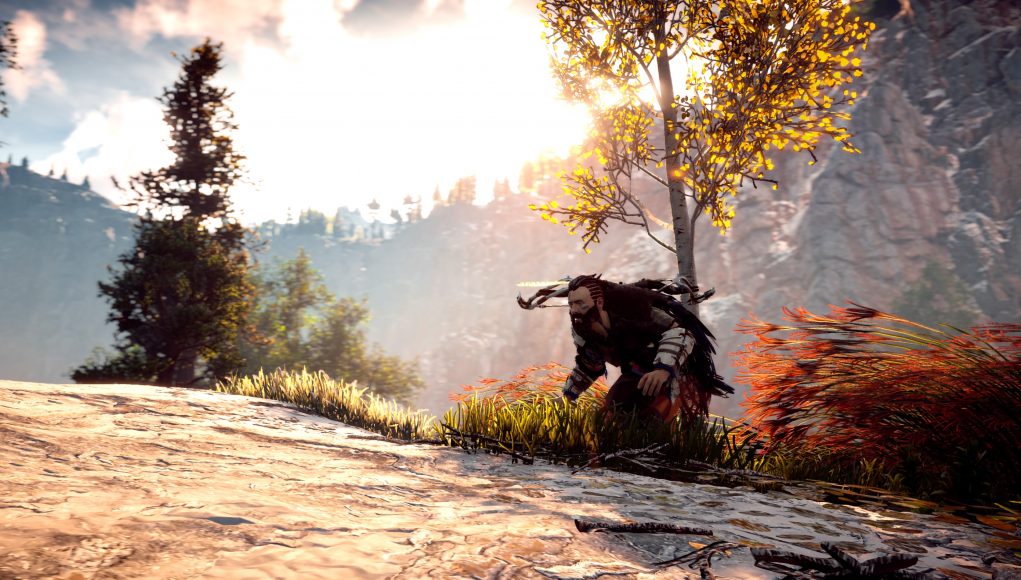 Horizon Zero Dawn™_20170217105742