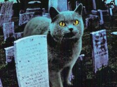 Käsikirjoittaja Jeff Buhler: ”Uinu, uni lemmikkini -remake tulee olemaan pelottavin Stephen King -elokuva koskaan”