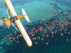 Legendaarinen Microsoft Flight Simulator saa vihdoin uuden osan