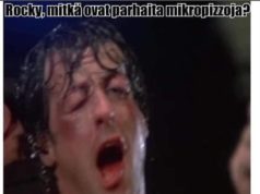 Stallonella työn alla Rocky-tv-sarja ja uusi elokuva