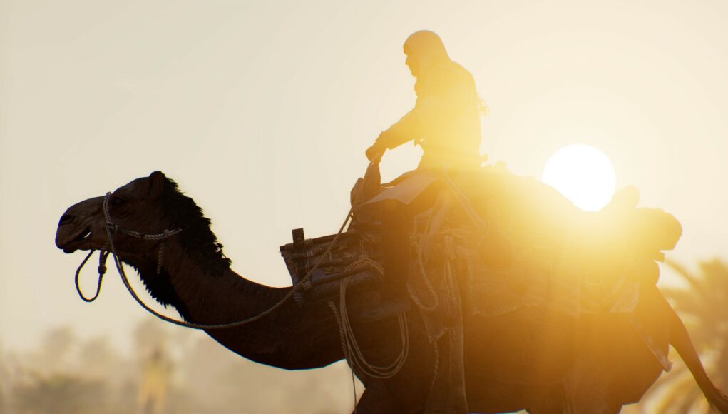 Siluettikuva, jossa Basim ratsastaa kamelilla.