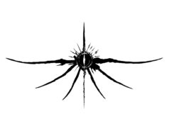 The Game Awardsin salaperäinen mysteeripeliarvoitus ratkesi